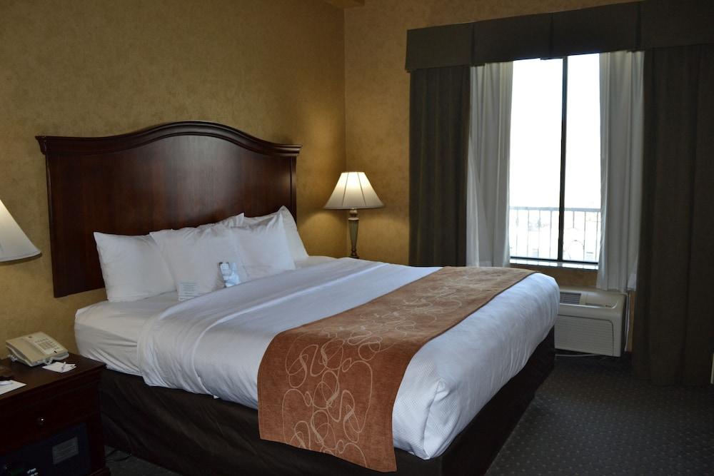 Comfort Suites Alamo-River Walk Сан Антонио Екстериор снимка